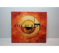 Soul Searching Sun - Life of Agony
