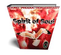 Soul. Spirit of Soul Music - Grandes muestras de estudio de WAVE/Kontakt/Biblioteca de bucles en DVD o descargar