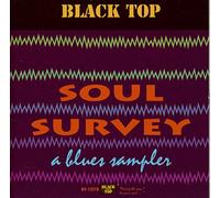 Soul Survey - S.eaglin, E.king, A.funderburgh...