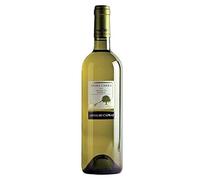 SOUL UMBRA 2019 GRECHETTO IGT 75 CL
