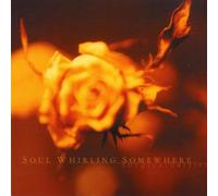 Soul Whirling Somewhere - Great Barrier