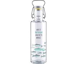 soulbottles You're right - 0,60 l soulbottles