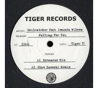 Soulcatcher - Falling For You