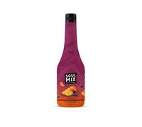 SOULMIX Concentrado Sabor Arándanos Melocotón 750 ml | Base Natural para Cócteles, Batidos y Smoothies | Mixer Profesional para Hostelería y HORECA