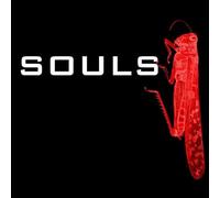 Souls - Simple Terms and Conditions