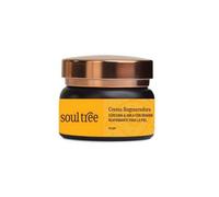 Soultree Crema Facial Curcuma Amla Bhrami 60 g