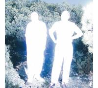 Soulwax - All Systems Are Lying / Run Free (Nite Versions) [Vinilo]