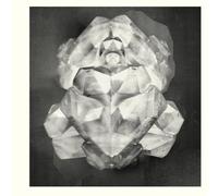 Sound & Fury - Pulsacion