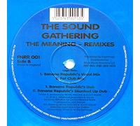 SOUND GATHERING - SOUND GATHERING / THE MEANING (REMIXES) (BLUE VINYL)