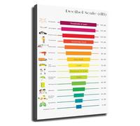 Sound Level Chart Poster Decibel Comparison Guide for Music Studio Office Industrial Safety and Hearing Health Awareness Decor(Framed,16x24inch(40x60cm))