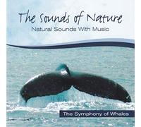 Sound of Nature - The Symphony of Whales
