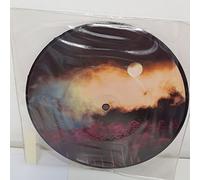 SOUNDGARDEN, fell on black days, B side kyle petty, son of richard and motorcycle loop, 580 944-7, 7" single