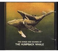 Sounds And Songs Of The Humpback Whales