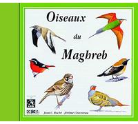 Sounds of Nature: Birds of North-West Africa