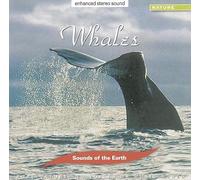 Sounds Of The Earth - Whales