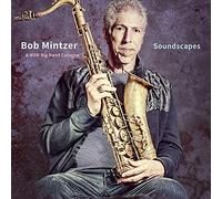 Soundscapes