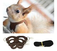 soundwinds Arnés de hámster y correa ajustable chaleco con arnés pequeño para mascotas para hámster conejillo de indias rata hurón accesorios de plomo