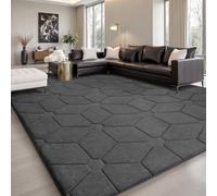 Sour Lemon Alfombras de Sala de Estar de 160 x 230 Pulgadas, alfombras Grises 3D para Dormitorio, alfombras extragrandes para Sala de Estar, Lavable a máquina, Antideslizante, Alfombra de Pelo Corto