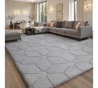 Sour Lemon Alfombras para sala de estar, 120 x 170 pulgadas, 3D, color gris, para dormitorio, alfombra extragrande para sala de estar, lavable a máquina, antideslizante, de pelo corto, para habitación