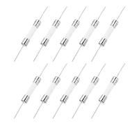 sourcing map 10 fusibles de plomo axial de 250 V, 6 x 30 mm, mini fusibles de cerámica de soplado lento para TV LCD, electrodomésticos, electrónicos (T10A)