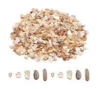 sourcing map 500g Conchas Trituradas Irregulares Fragmentos de Conchas Marinas Naturales para Decoración del Hogar Manualidades de Arte Proyectos de Bricolaje Color Beige