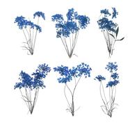 sourcing map 6 flores prensadas secas naturales para manualidades, flores secas prensadas de encaje reales ramos coloridos para moldes de resina, manualidades, álbumes de recortes, velas, joyería