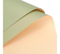 sourcing map Doble Cara Color Flor Envoltorio Papel Amarillo-Verde+Champán 22.8"x22.8" Impermeable para Florista Ramo Suministros, Bricolaje Artesanías, Regalo Caja Embalaje Paquete de 20