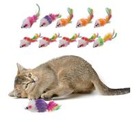 sourcing map Juego de hierba gatera resistente a las mordeduras, duradero e interesante, dientes de gato simulados, relleno de hierba gatera (colorido, 10 piezas), diseñado para dormitorio/balcón (5 x
