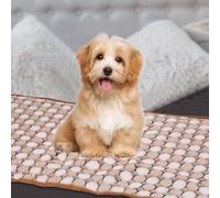 sourcing map Manta para mascotas, manta mediana suave y esponjosa con estampado de lunares, funda protectora de muebles a prueba de arañazos, de 16 x 24 pulgadas (café, 1 paquete de 3), diseñada para