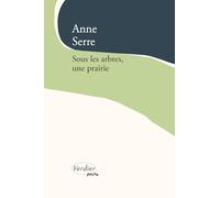 Sous les arbres, une prairie