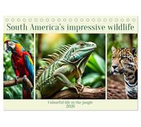 South America's impressive wildlife (Desk Calendar 2026 DIN A5 landscape), CALVENDO 12 Month DeskCalendar: Colourful life in the jungle