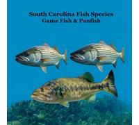 South Carolina Game Fish and Panfish Species Kids Book: Great Book About the Different Types of Fish in South Carolina