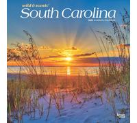 South Carolina Wild & Scenic 2025 12 X 24 Inch Monthly Square Wall Calendar Plastic-Free