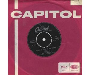South, Joe - Shelter - Walk a mile in my shoes