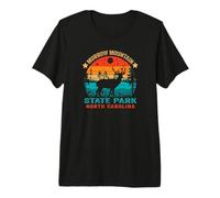 Souvenir Retro de Sol del Parque Estatal Morrow Mountain de Carolina del Norte Camiseta Premium