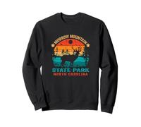 Souvenir Retro de Sol del Parque Estatal Morrow Mountain de Carolina del Norte Sudadera