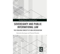 Sovereignty and Public International Law: The Evolving Concept of Non-Intervention (Routledge Research in International Law)