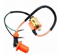 Sovxbgw Bobina Caja Encendedor Bobina Encendido Motocicletas para 50 CC para 70 CC para 90 CC para 110 CC para 125 CC Dirt Monkey Pit Bike ATV Quad Bobina Encendido