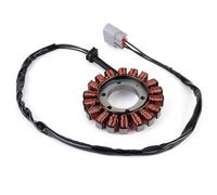 Sovxbgw Bobina Caja Encendedor Bobina Estator Generador DMotocicleta para S1000RR para K69 2018-2020 para S1000XR K67 12318396695 12318404476 Bobina Encendido