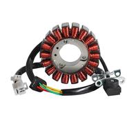 Sovxbgw Bobina Caja Encendedor Bobina Generador Magnético Estator Motocicleta para Daelim para S1 para VJF125 para Roadwin R 31120-BA8-0000 DAE31120-BA8-0000 Bobina Encendido