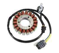 Sovxbgw Bobina Caja Encendedor para ATV para Quad para Raider600 para Deluxe para Online para Aeon Bobina Estator Motocicleta 31120-REA-000 AEG-31120-REA-000 Bobina Encendido