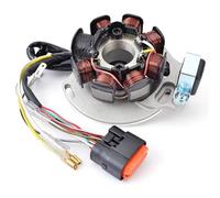 Sovxbgw Bobina Caja Encendedor para Gas para Gas para EC300 para Carreras para EC250 para E para E-Start Bobina Estator Magneto EE10000033012 ME250534005 Bobina Encendido