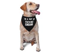 Soy Un Maldito Rayo De Sol Bandana para Perro Moda Pañuelo para Perro Ajustable Bufanda De Mascota para Perros Pequeños Y Medianos Uso Diario Cumpleaños