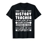 Soy un profesor de la historia de mi nivel de Enseñanza Camiseta