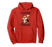 Soy una Buena Persona Que Acaba de dañar por ser una Buena Ardilla Sudadera con Capucha