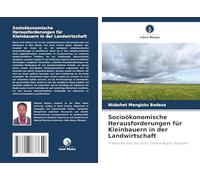 Sozioökonomische Herausforderungen für Kleinbauern in der Landwirtschaft: In Robe Woreda, Arsi Zone, Oromia Region, Äthiopien