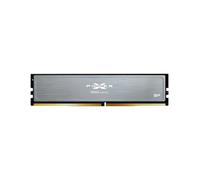 Silicon Power Memoria RAM SP016GXLZU320BDI
