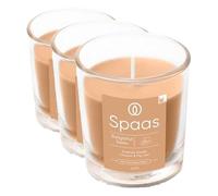 Spaas Vela perfumada 25 h, Delightful Dawn (Paquete de 3)