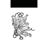 Space and Fields in Biological Systems