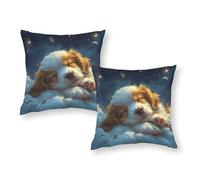 Space Pup Dreams - Fundas de almohada cuadradas suaves y sedosas para sofá, coche, sala de juegos, 16 x 16 pulgadas